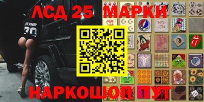 spice Кунгур