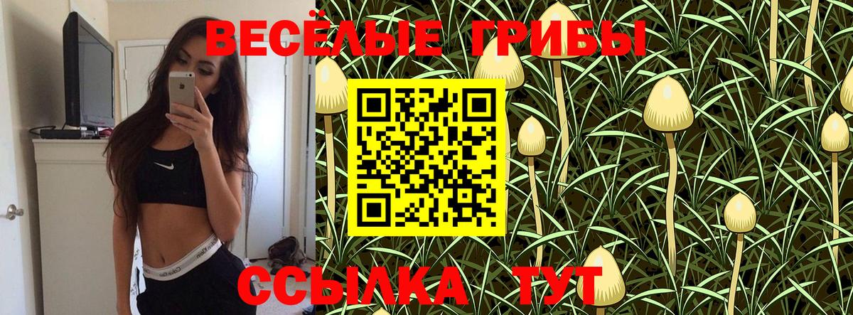 Ялуторовск  Галлюциногенные грибы Psilocybine cubensis  Вход с VPN  Галлюциногенные грибы мицелий 
